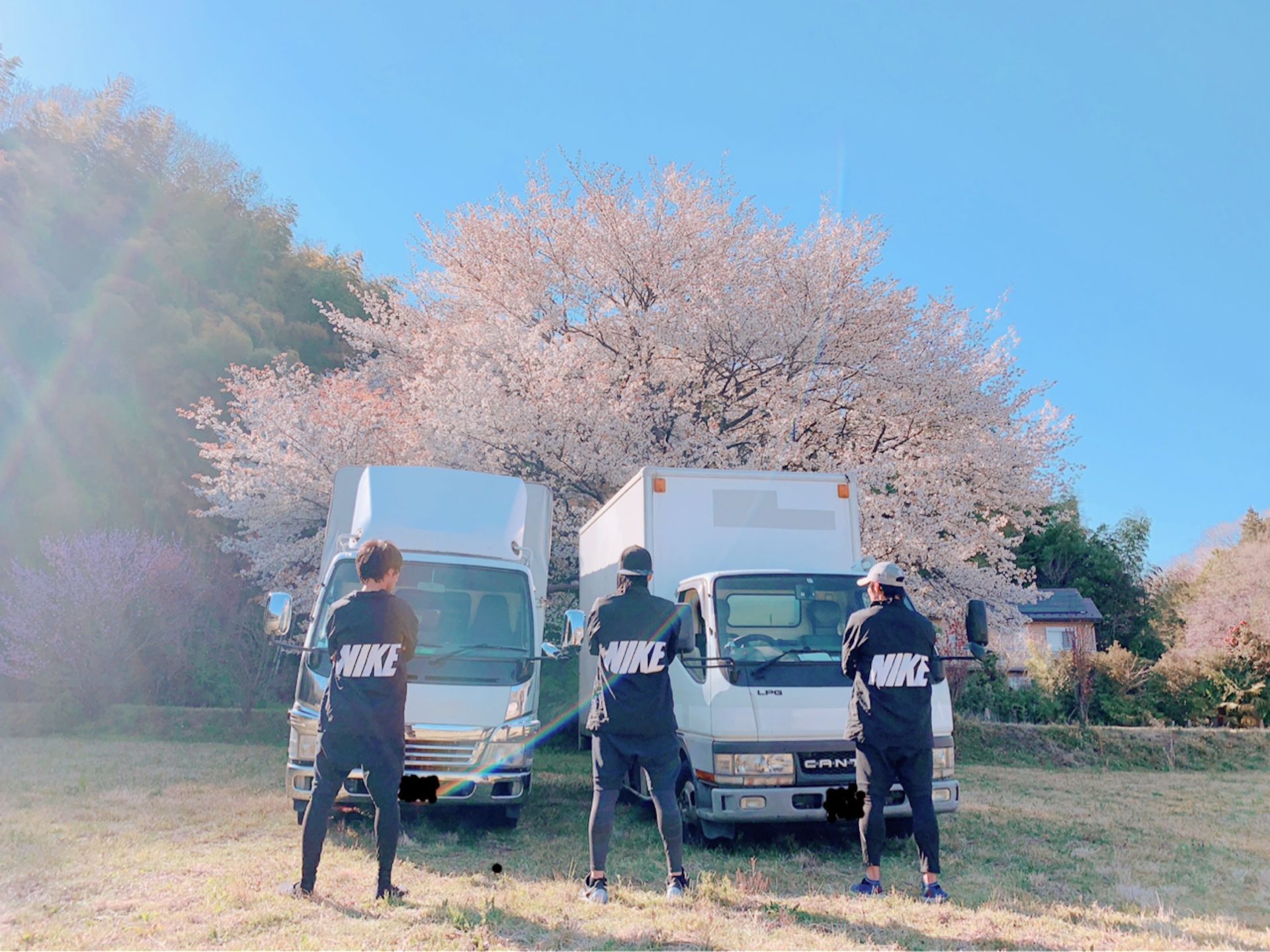 MV3
